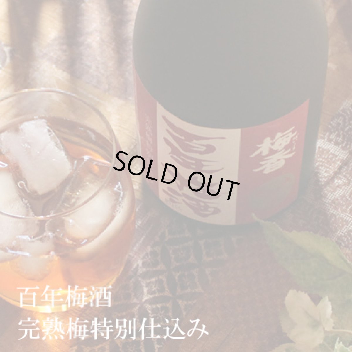 画像2: 百年梅酒　完熟梅特別仕込　720ml (2)