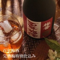 画像2: 百年梅酒　完熟梅特別仕込　720ml (2)