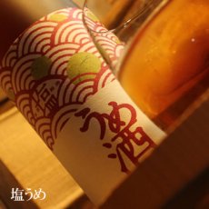 画像1: 塩うめ 1800ml (1)