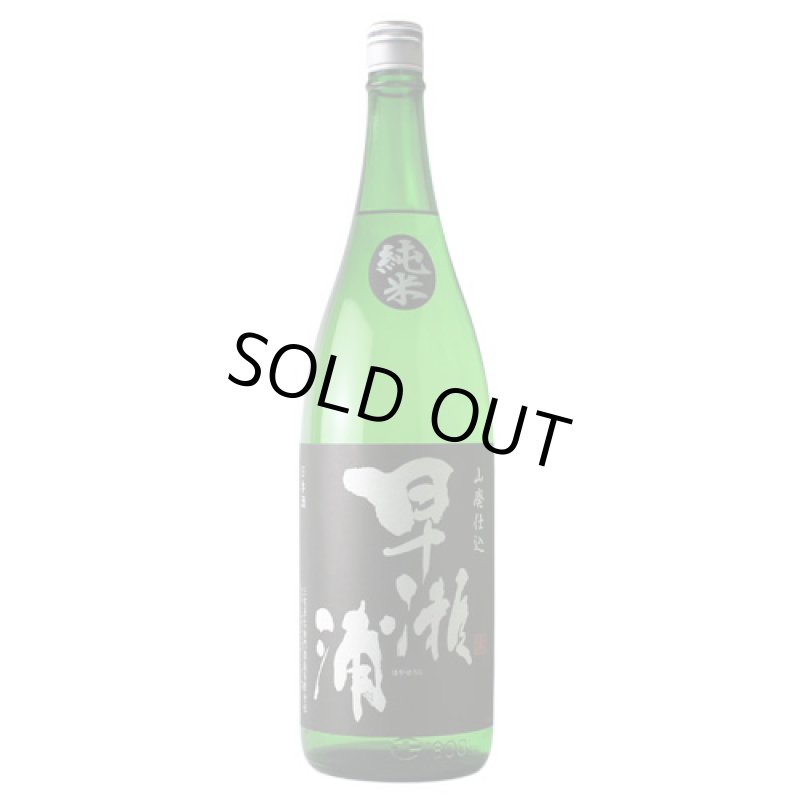 山野草　ウラシルケンス 発送困難です引き取り限定 山形正宗 稲造 クリスマスバージョン (うすにごり)720ml | 山形『山形