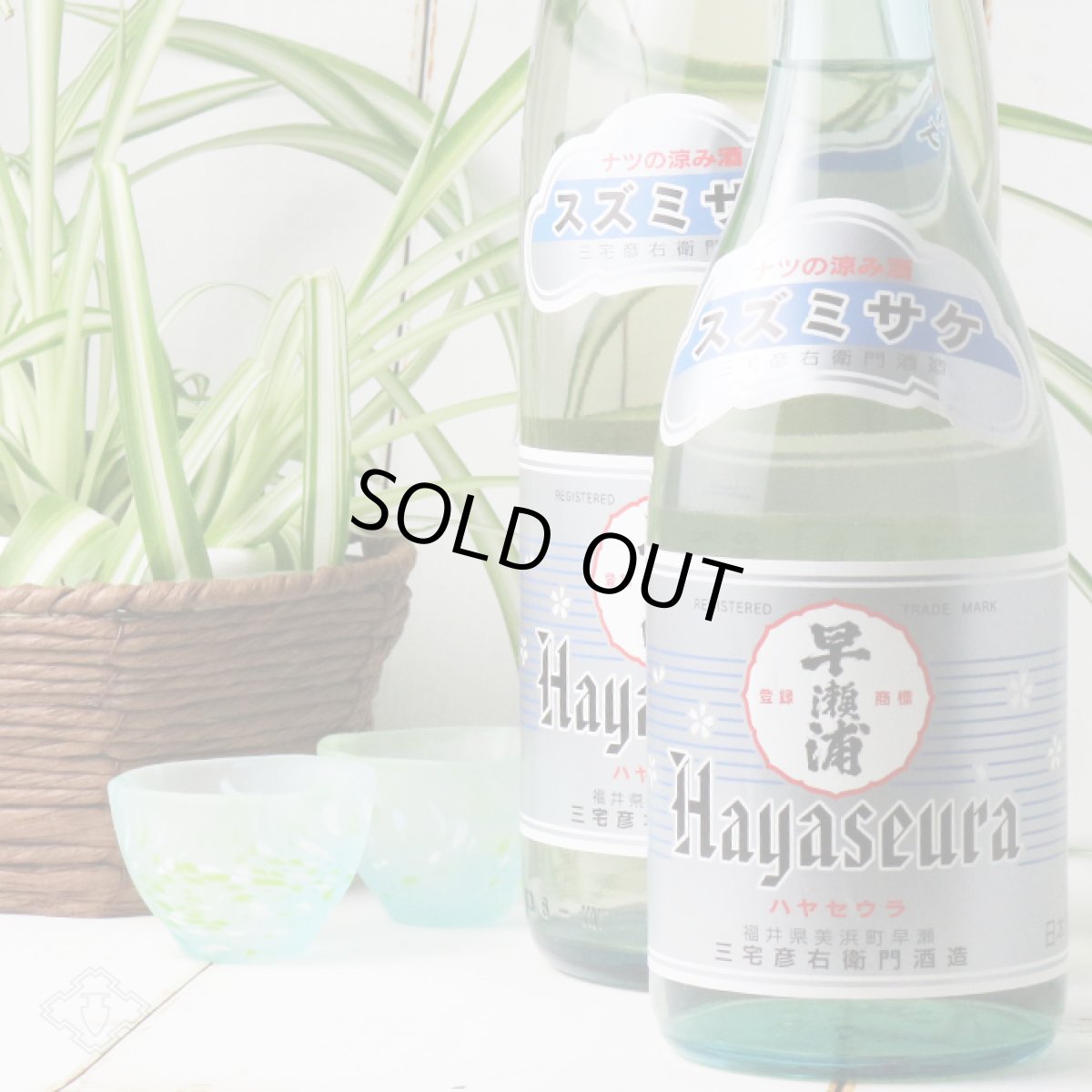 画像2: 早瀬浦 特別純米酒 すずみさけ 720ml（日本酒 三宅彦右衛門酒造 はやせうら） (2)