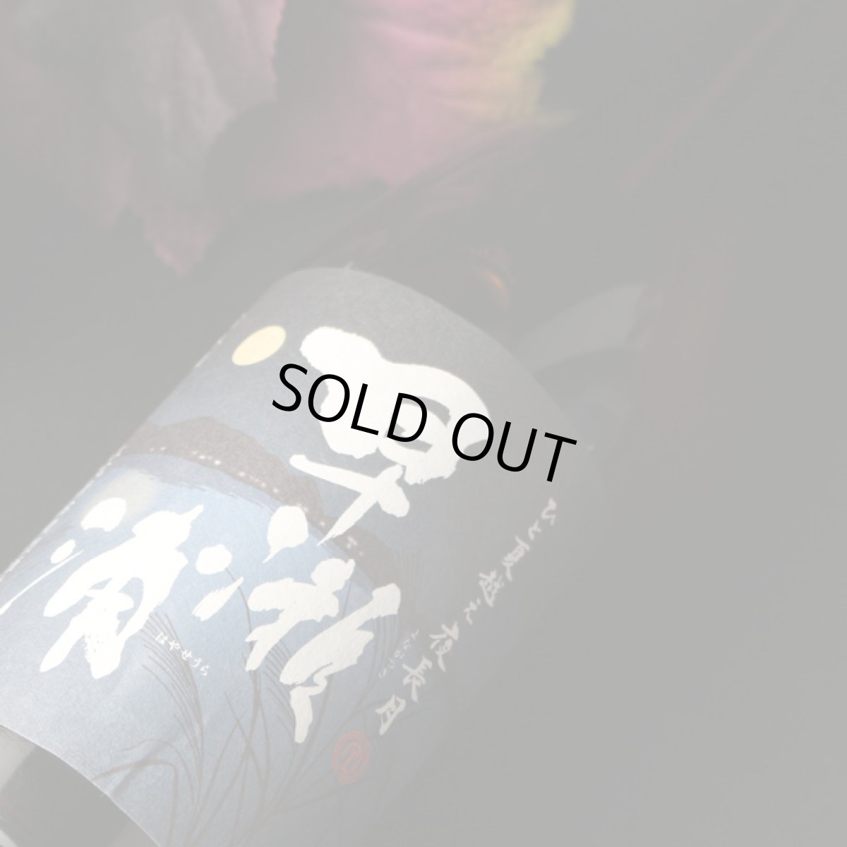 画像2: 早瀬浦 特別純米 夜長月 720ml (2)