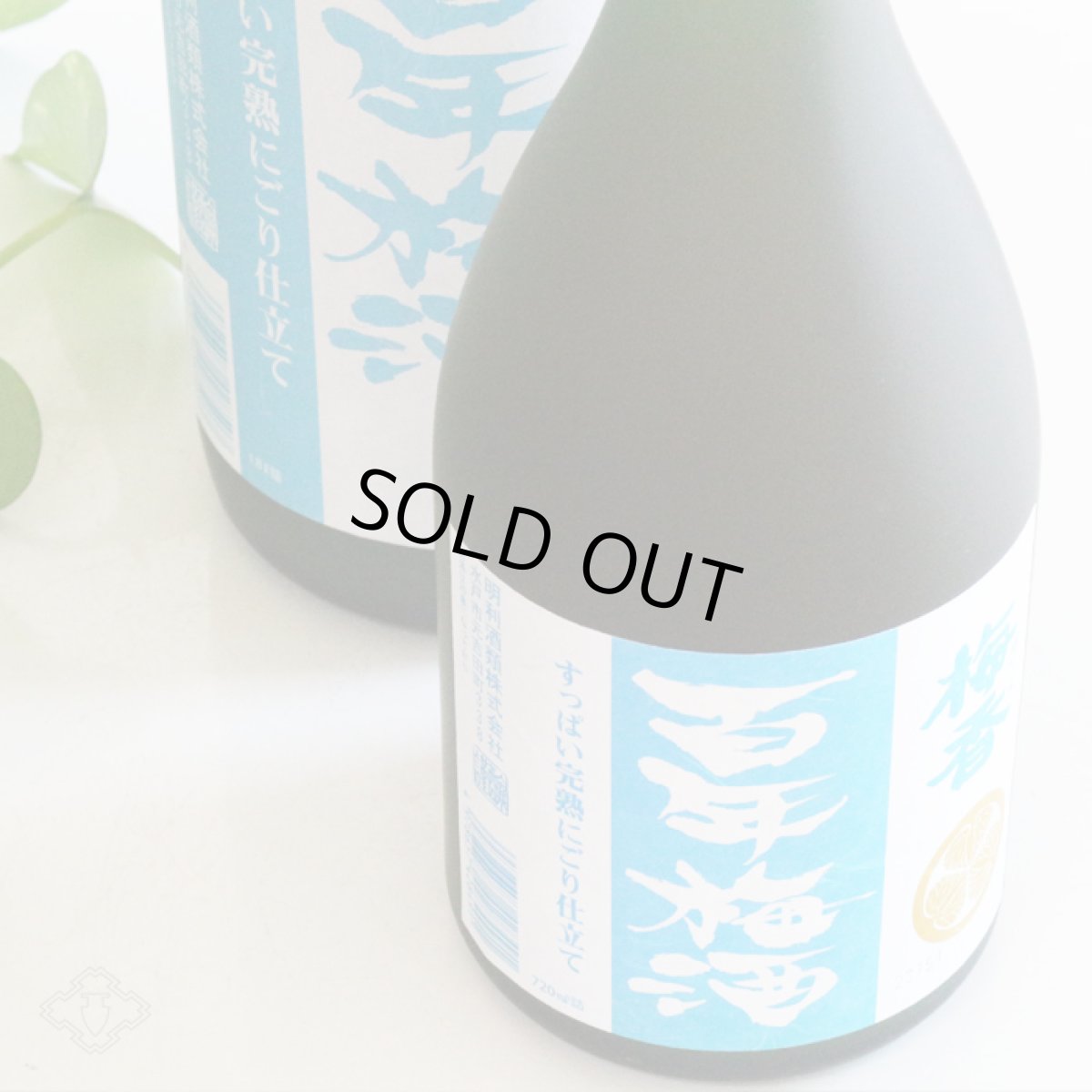 画像2: 百年梅酒 すっぱい完熟にごり 1800ml  (和リキュール 明利酒類) (2)
