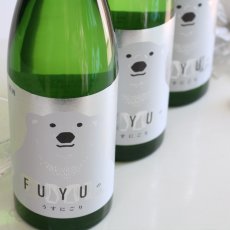 画像3: 寒紅梅 しろくま 冬のうすにごり 720ml (3)