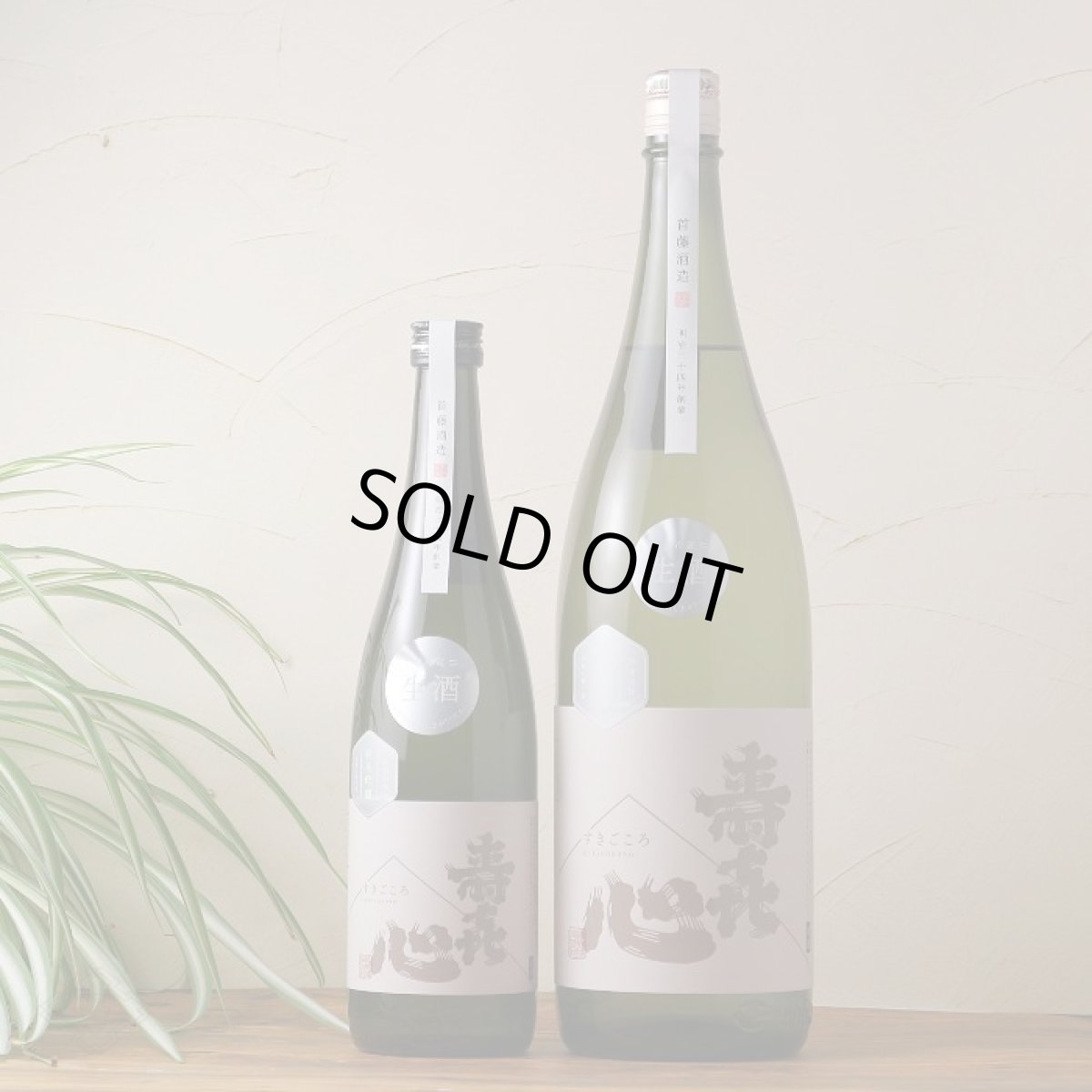 画像2: 寿喜心 純米吟醸 五百万石 生酒 1800ml（要冷蔵） (2)