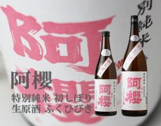 画像5: 阿櫻 初しぼり 特別純米 無濾過生原酒 1800ml（要冷蔵） (5)