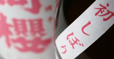 画像6: 阿櫻 初しぼり 特別純米 無濾過生原酒 1800ml（要冷蔵） (6)