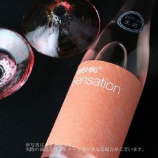 画像4: 笑四季 センセーション 朱 生酒 1800ml（要冷蔵） (4)