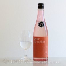 画像2: 笑四季 センセーション 朱 生酒 720ml（要冷蔵） (2)