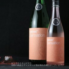 画像5: 笑四季 センセーション 朱 生酒 1800ml（要冷蔵） (5)