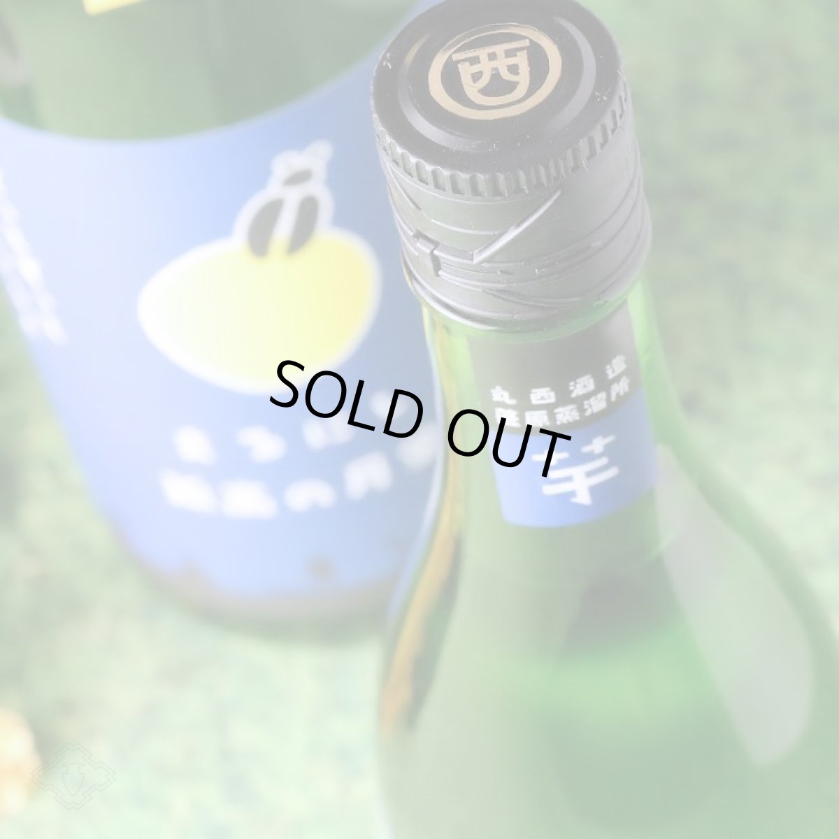 画像2: 丸西 孤高の月蛍 1800ml (芋焼酎、ココウノツキボタル) (2)