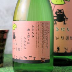 画像2: 丸西 のんびり蓮蛙 720ml (芋焼酎、ノンビリハスガエル) (2)
