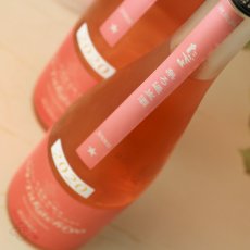 画像3: Takachiyo 59 純米生酒 赤色酵母 ロゼ 500ml （要冷蔵） (3)