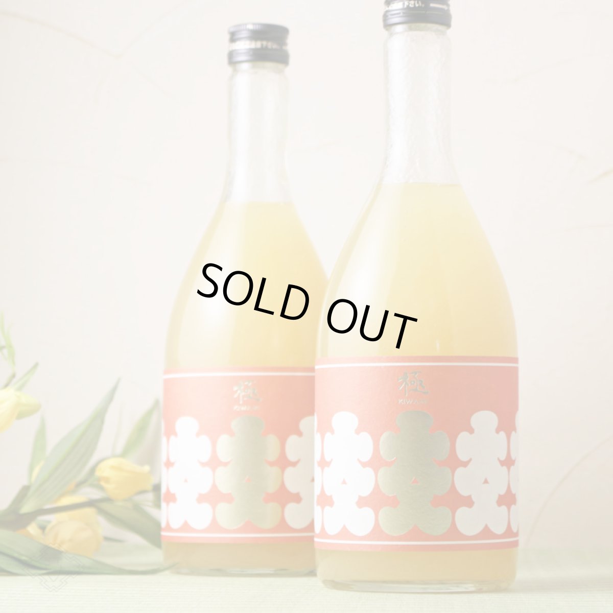 画像2: 大入り にごり柚子酒 濁濁 極 1800ml (2)