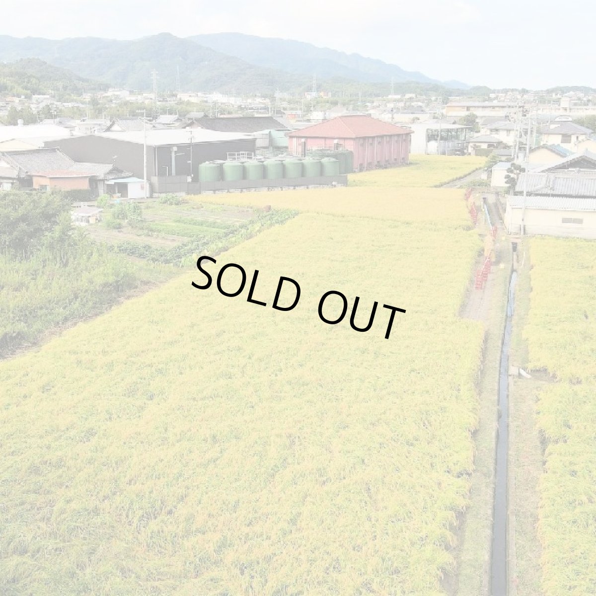 画像2: 紀土 あがらの田で育てた山田錦低精米八十％ 1800ml（日本酒 平和酒造 きっど） (2)