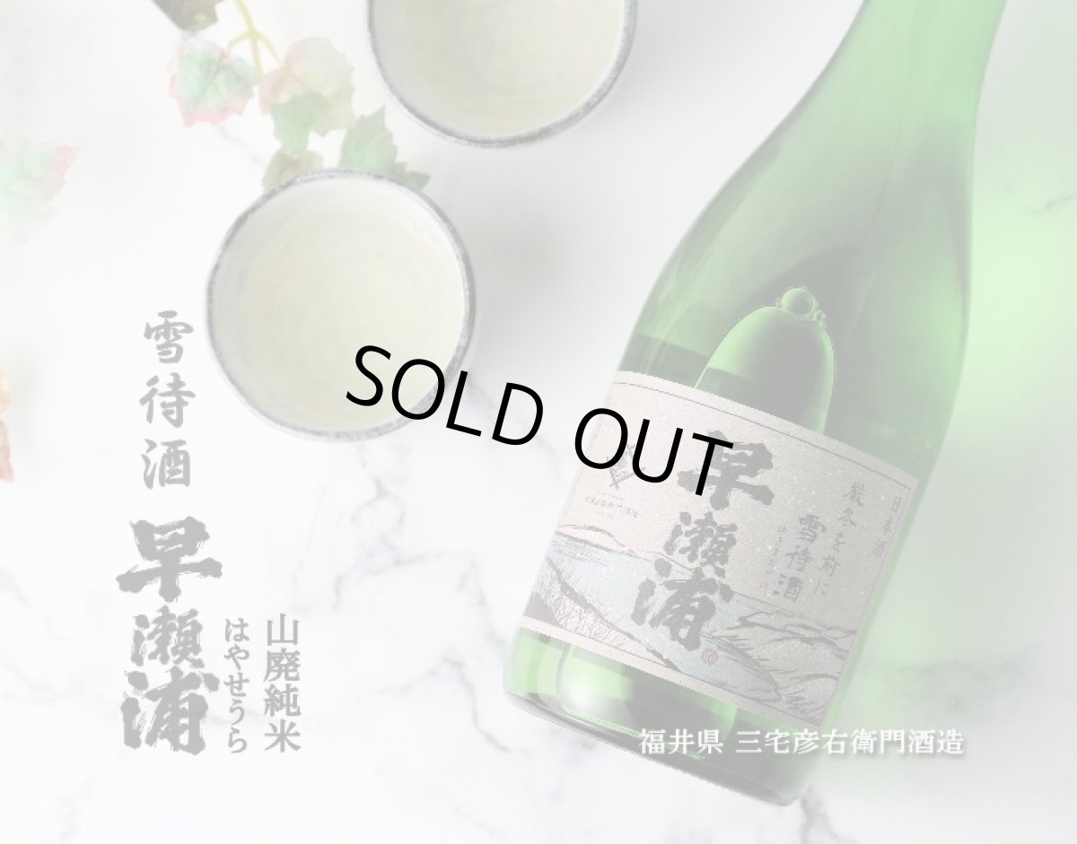 画像3: 早瀬浦 山廃純米 雪待酒 720ml (3)