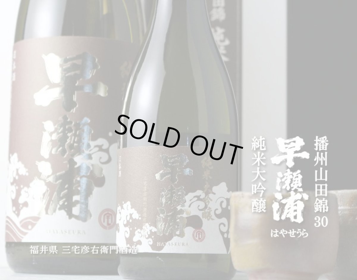 画像3: 早瀬浦 純米大吟醸 山田錦 1800ml (3)