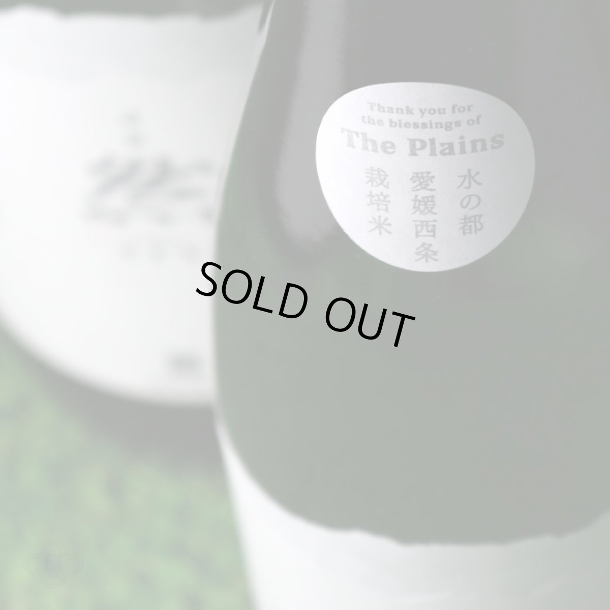 画像3: 成龍 然 特別純米 The Plains 1800ml (3)