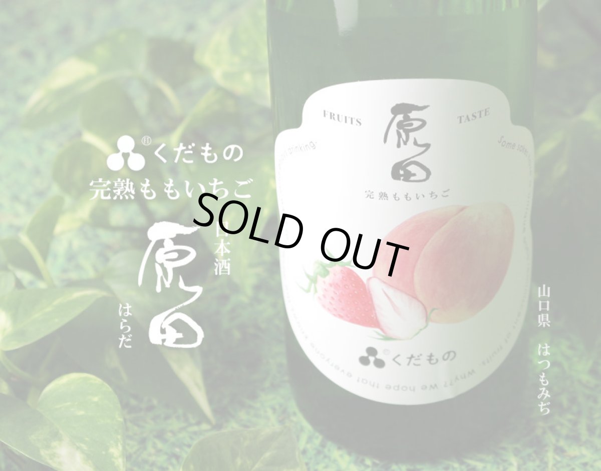 画像2: 原田 くだもの 完熟ももいちご 720ml （日本酒） (2)