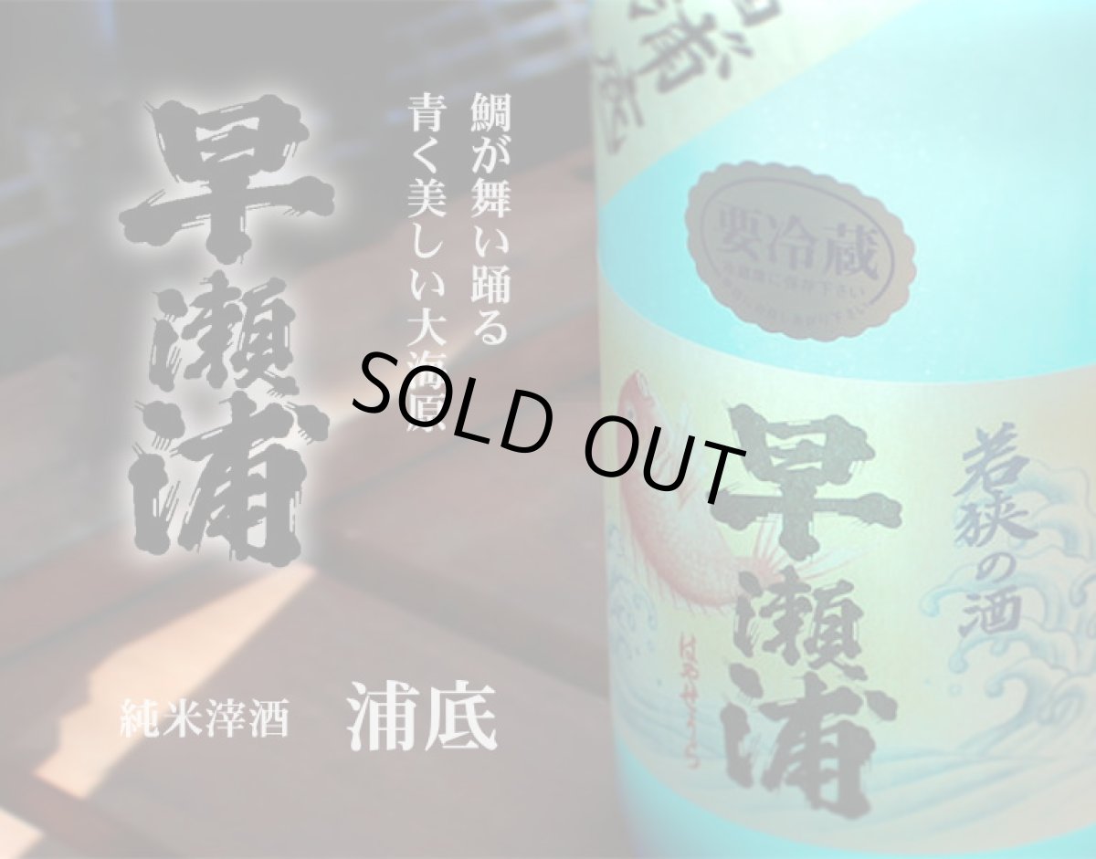 画像2: 早瀬浦 純米酒生 浦底 1800ml（要冷蔵）※お一人様1本まで (2)