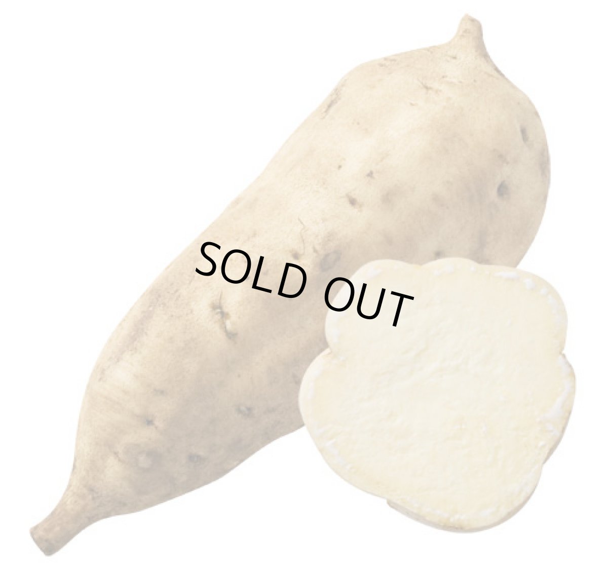 画像6: 宝山 蒸撰白豊 25度 1800ml (芋焼酎) (6)