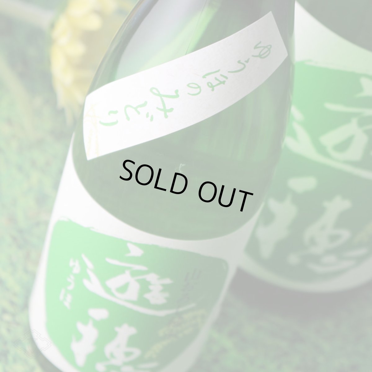 画像4: 遊穂 ゆうほのみどり 生もと純米生酒 720ml(要冷蔵) (4)