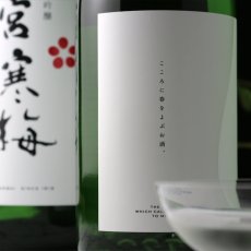 画像4: 宮寒梅 純米吟醸 1800ml (4)