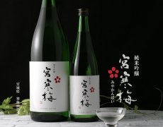 画像3: 宮寒梅 純米吟醸 1800ml (3)