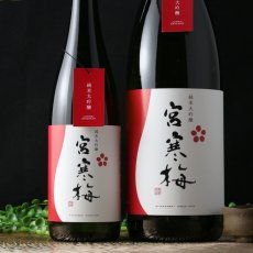 画像5: 宮寒梅 純米大吟醸 720ml (5)