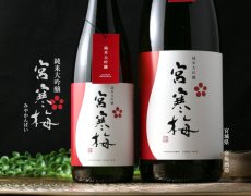 画像3: 宮寒梅 純米大吟醸 720ml (3)