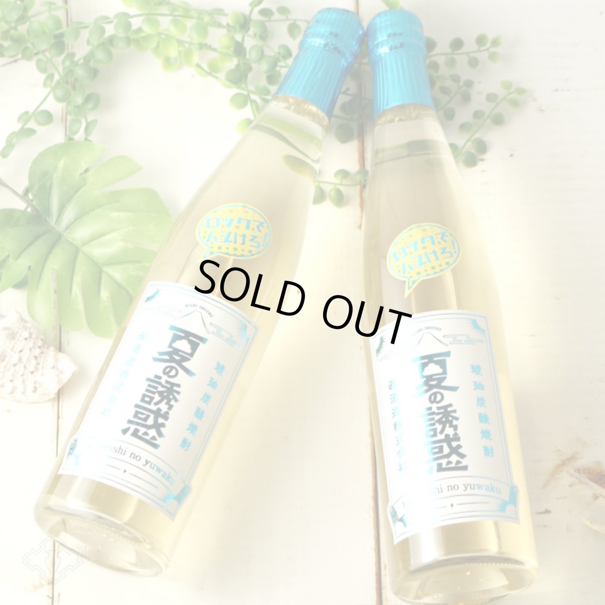 画像2: 夏の誘惑 500ml (琥珀炭酸芋焼酎) (2)