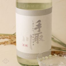画像6: 手取川 しぼりたて 純米生原酒 720ml（要冷蔵） (6)