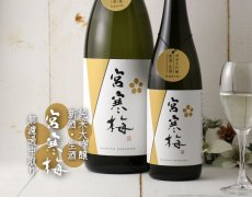 画像4: 宮寒梅 純米大吟醸 新酒生酒 無濾過中取り 720ml（要冷蔵） (4)