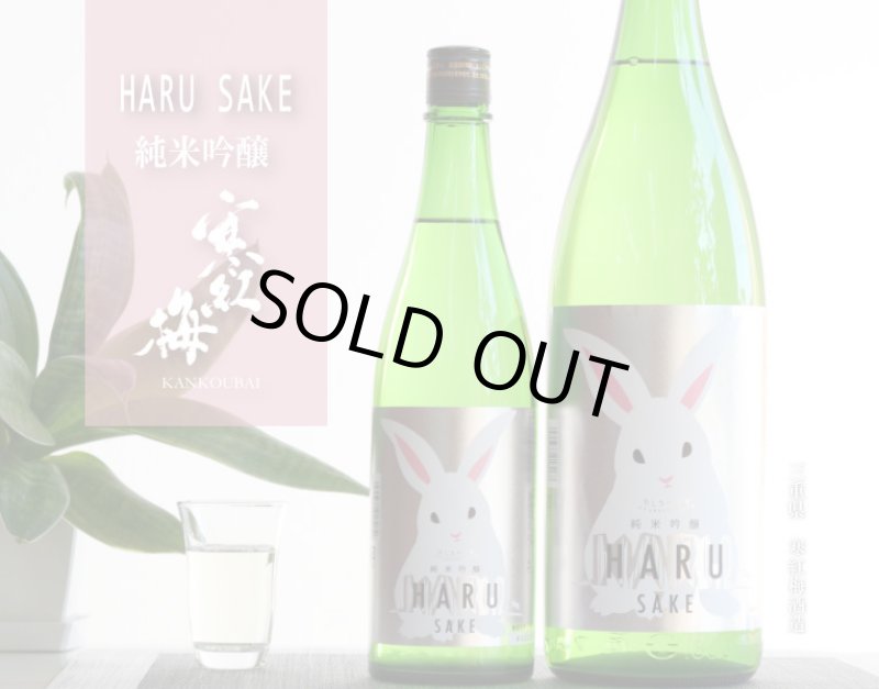 寒紅梅 うさぎラベル 純米吟醸 HARU酒 720ml - 酒舗 井上屋