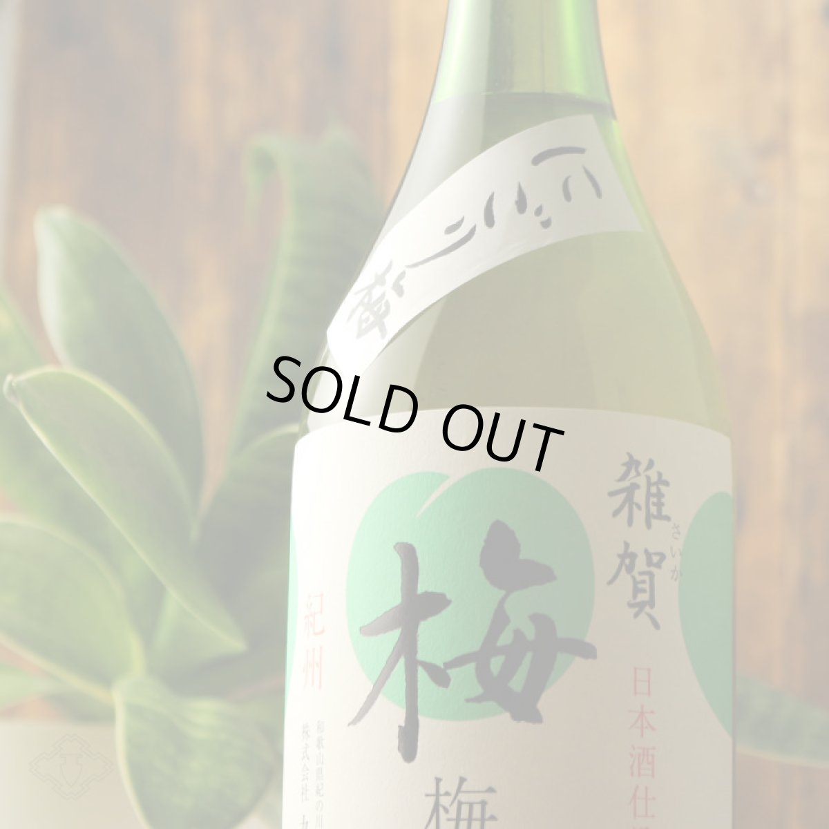 画像5: 雑賀 にごり梅 720ml (5)