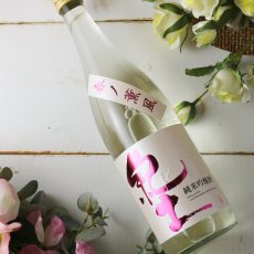 画像5: 紀土 純米吟醸酒 春ノ薫風 生酒 1800ml（日本酒 平和酒造）（要冷蔵) (5)