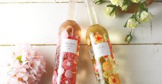画像5: 華咲くワインセット（白&ロゼ）（フランス ル ブラン、ル ロゼ ポール マス） (5)