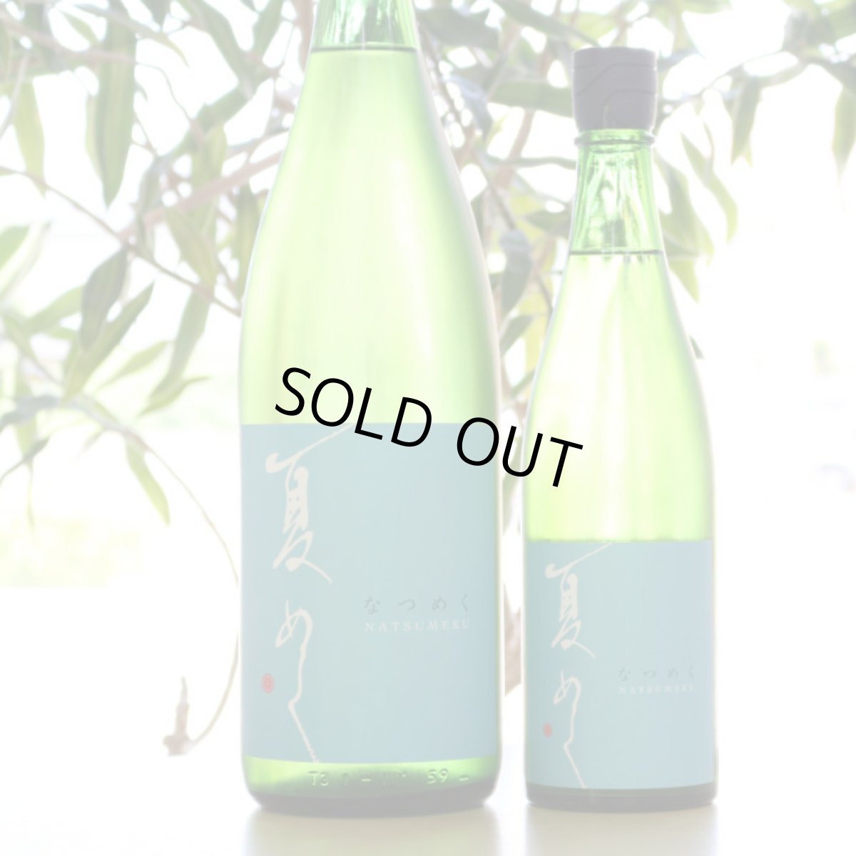 画像4: 敷嶋 夏めく 720ml（しきしま 愛知県 伊東） (4)