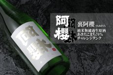 画像2: 裏阿櫻 純米無濾過原酒 あきたこまち70％ 720ml (2)