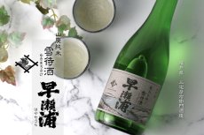 画像5: 早瀬浦 山廃純米 雪待酒 1800ml (5)