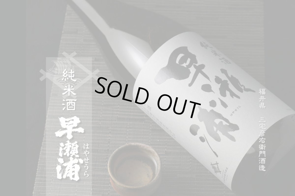 画像3: 早瀬浦 純米酒 1800ml (3)