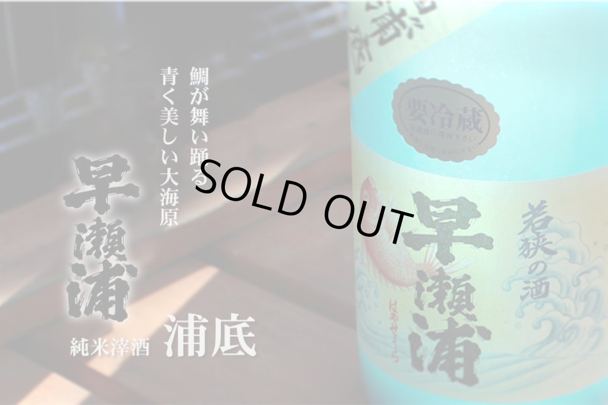 画像2: 早瀬浦 純米酒生 浦底 720ml(要冷蔵)※お一人様1本まで (2)