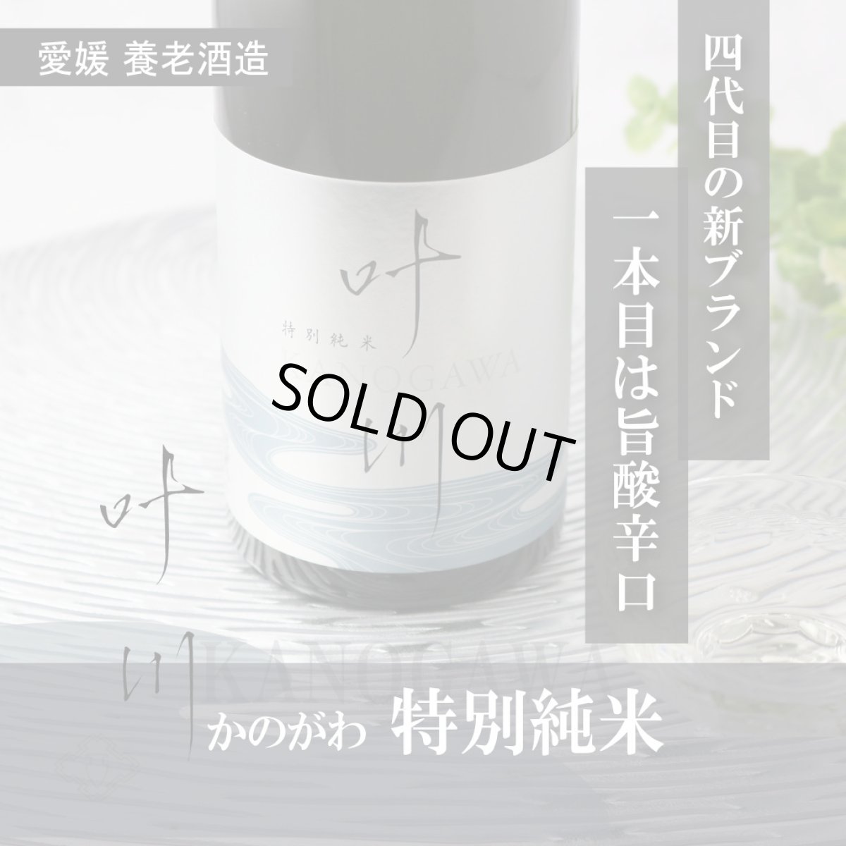 画像4: 叶川 特別純米 720ml （かのがわ 養老酒造） (4)