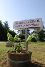 画像5: シャトー・ヴィニョル・ルイジアンヌ （赤ワイン　フランス　ボルドー　シャトー・ヴィニョル　750ml） (5)
