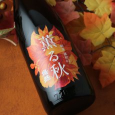 画像1: 燦然 薫る秋 純米 雄町 65 720ml (1)