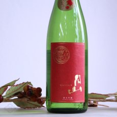 画像3: 月山 ひやおろし 純米吟醸 720ml (3)