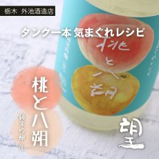 画像6: 望 桃と八朔 純米吟醸 生 1800ml 杜氏の気まぐれレシピ（要冷蔵） (6)