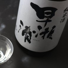 画像6: 早瀬浦 新酒槽搾り 純米酒 1800ml (6)