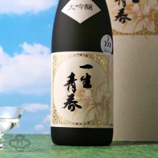 画像1: 一生青春 大吟醸 720ml（箱付き 日本酒 曙酒造） (1)