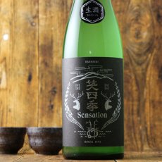 画像4: 笑四季 センセーション 黒ラベル  生酒 720ml（日本酒 笑四季酒造）（要冷蔵） (4)